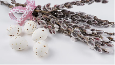 Принесите в дом вербу: народные приметы на 21 марта 