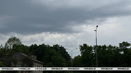 Дожди и до +28°С будет сегодня в Беларуси