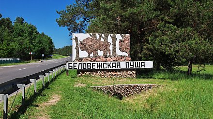 В Беловежской пуще обнаружили сотни древних курганов и погребений