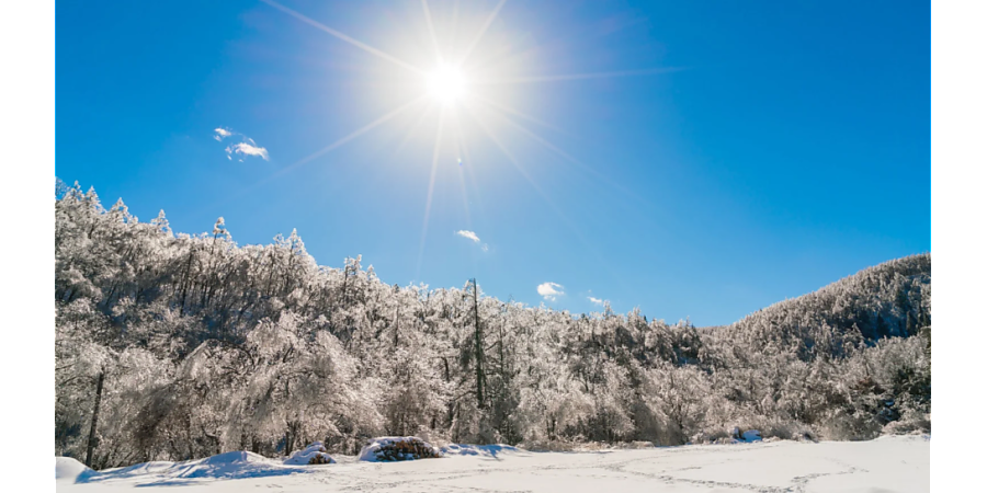 Не ешьте рыбу на Петра-полукорма: приметы на 3 января 