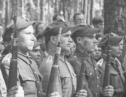 Армия Крайова: польские историки в попытках обелить аковцев