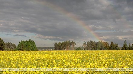 Жаркая и дождливая погода ожидается на этой неделе в Беларуси