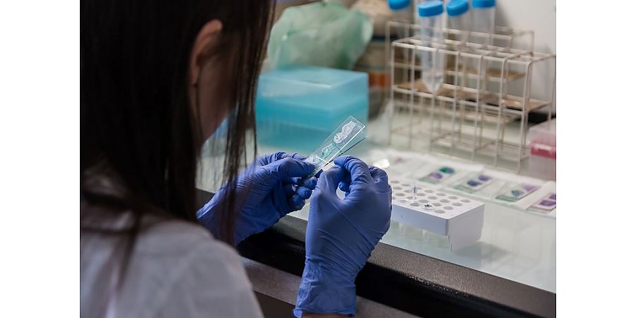 Минздрав ожидает третью волну COVID-19 менее интенсивной, но многое зависит от новых штаммов