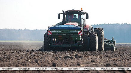 В Беларуси засеяно 16% площадей яровых культур