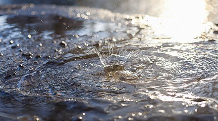 В Беларуси проходит республиканский водный конкурс исследовательских проектов