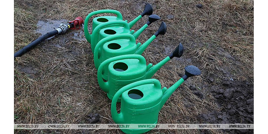 Минфин установил порядок перечисления денег, заработанных на республиканском субботнике