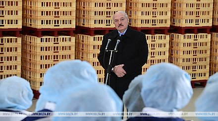 Лукашенко: с Путиным тема конституционной реформы не затрагивалась, кроме как в общих чертах