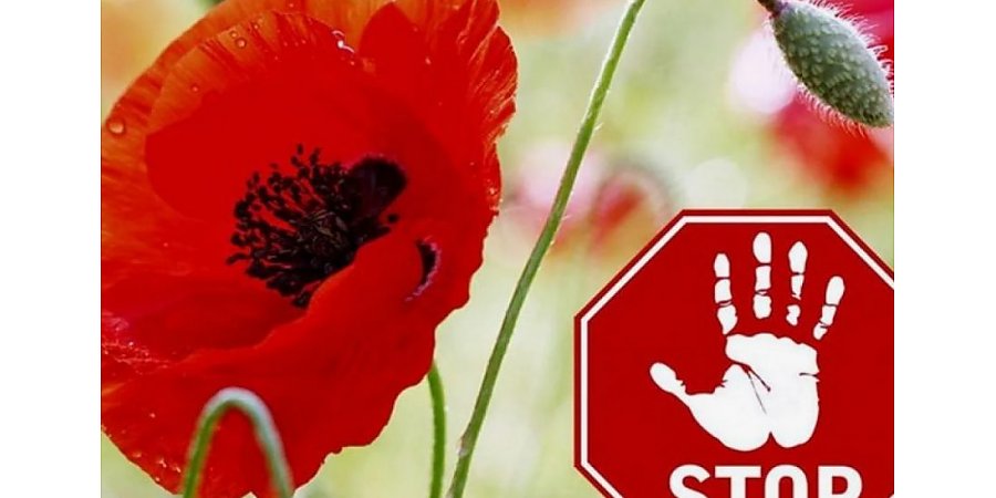 Специальная программа «МАК»