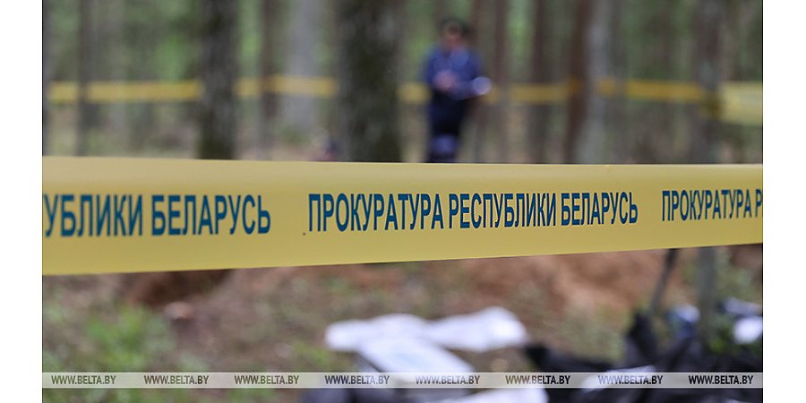 Генпрокуратура: в годы ВОВ нацисты провели в Беларуси не менее 187 карательных операций