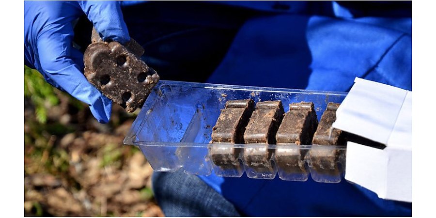 Вниманию населения! C 15 апреля с целью профилактики бешенства в Гродненской области будет проводиться иммунизация диких животных