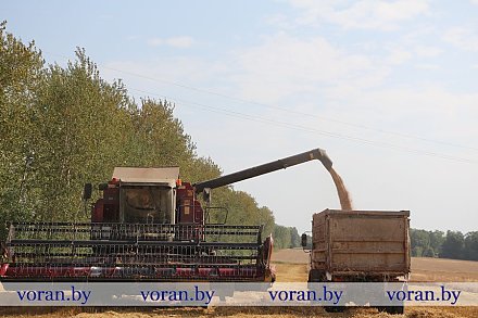 В сельхозпредприятии «ГМК-Агро» уборочная страда — на финишной прямой
