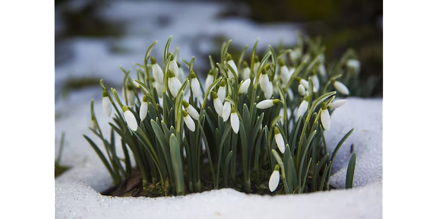 Народные приметы на 16 марта 2025: что можно и нельзя делать в этот день