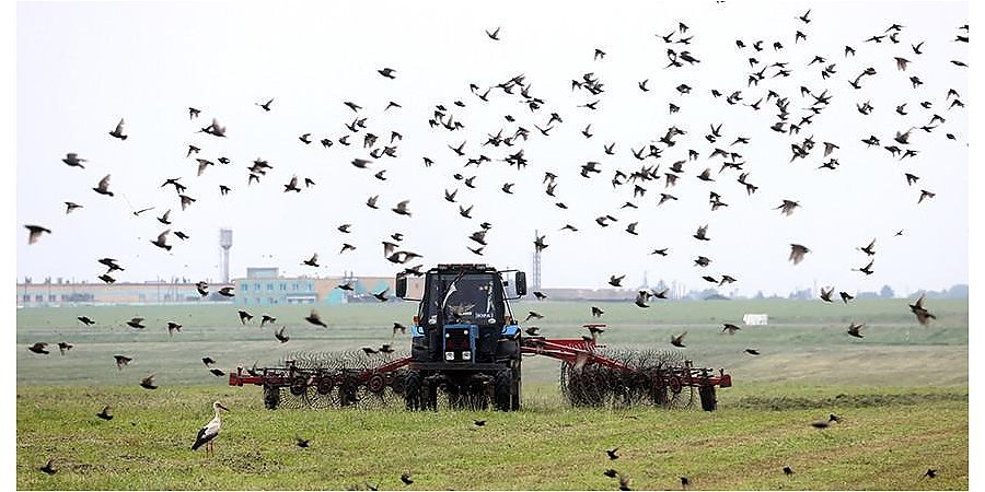 В Беларуси второй укос трав провели на почти 17% площадей