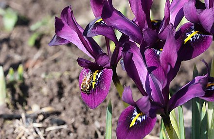 Погодные сюрпризы – то дождь, то снег! Дмитрий Рябов дал прогноз на 6-12 апреля