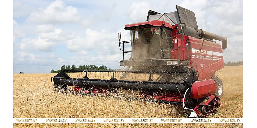 Почти 70% озимого ячменя убрано в Беларуси