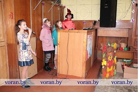 Благотворительные елки прошли в Вороновском и Радунском центрах культуры