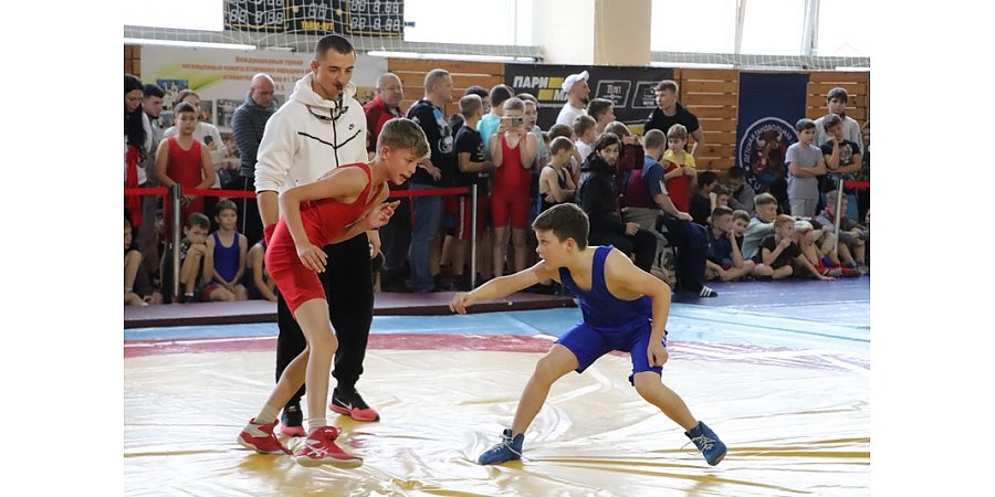 Игра по новым правилам. Рассказываем, какие организации и индивидуальные предприниматели в сфере физической культуры и спорта должны пройти государственную аккредитацию