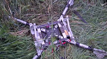 Лидские пограничники принудительно посадили беспилотник на границе с Литвой