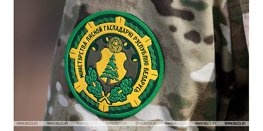 Минлесхоз уточнил, кто вправе составлять протоколы об административных правонарушениях