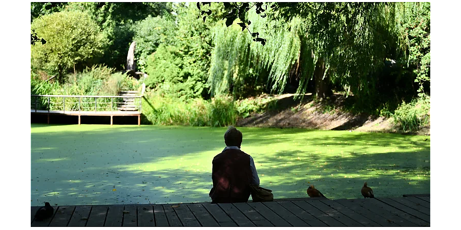 Народные приметы на 27 июня: что можно и нельзя делать в этот день