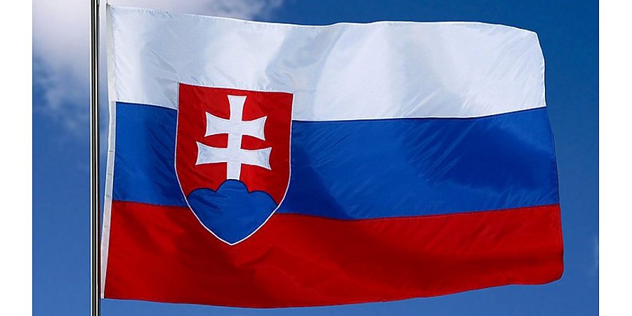 В Словакии введен режим ЧС из-за наплыва украинских беженцев