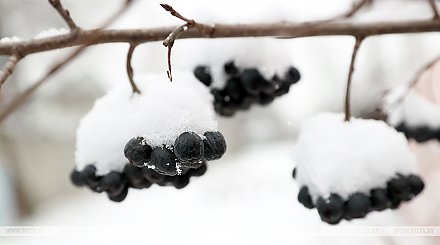 Из-за сильного снегопада Белгидромет объявил 25 ноября оранжевый уровень опасности