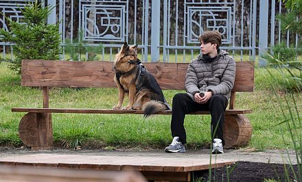 Налог на собак: каких изменений ждать в 2026 году?