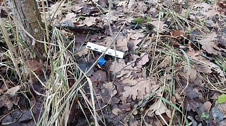 Три 17-летние девушки из Гродненской области задержаны за распространение наркотиков