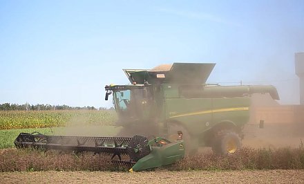 Намолот зерновых и зернобобовых культур в Гродненской области достиг 1,3 миллиона тонн