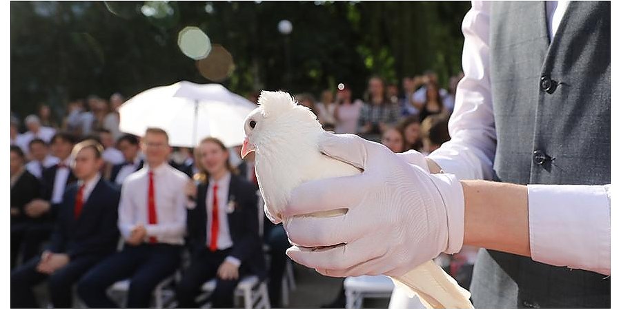 Выпускные вечера в школах Беларуси пройдут 14 июня