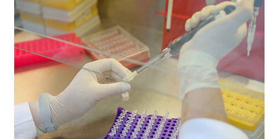 В Беларуси в следующем году планируют провести около 80 тыс. онкологических скринингов