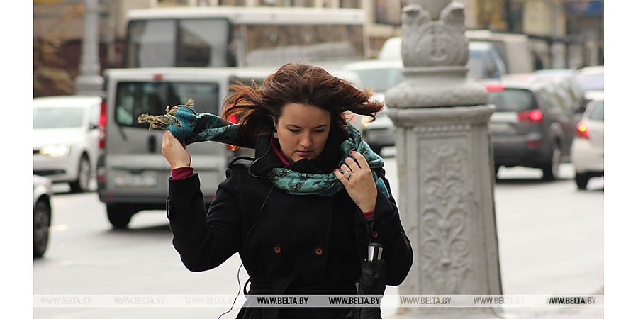 МЧС напомнило правила безопасности при сильном ветре