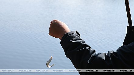 Нерестовый запрет на ловлю рыбы вводится в двух областях Беларуси с 20 марта