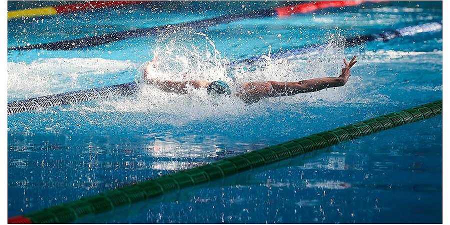 Лучшие белорусские пловцы поспорят за награды Кубка России