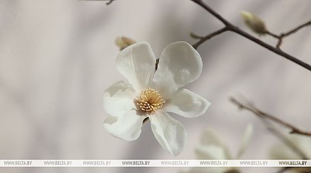 До +15°С и кратковременные дожди. Какой будет погода в понедельник