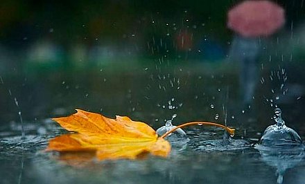 Сильный порывистый ветер и до +20°С ожидается в Беларуси 22 сентября