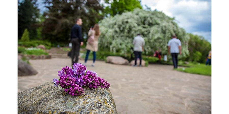 Погода в мае 2023-го в Беларуси: что ждать от последнего месяца весны