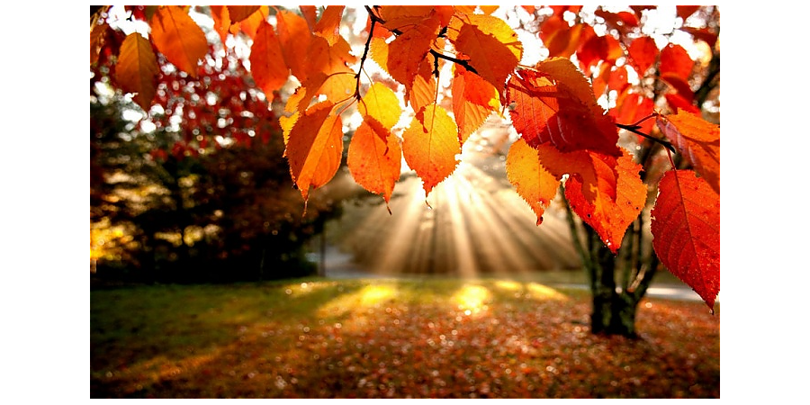 Осеннее равноденствие-2026: когда наступит, какие приметы и запреты связаны с этой датой
