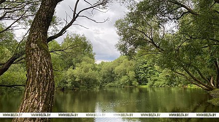 Ненастная погода с грозами ожидается в Беларуси