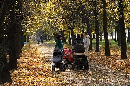 Как изменятся выплаты роженицам и пособия на детей старше 3 лет с 1 ноября 2023 г.