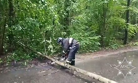 Подразделения МЧС ликвидировали последствия непогоды в Гродненской области