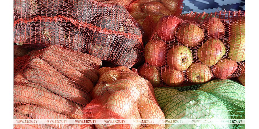 Сколько овощей заложено в стабфонды страны и по каким ценам их продают, рассказали в МАРТ