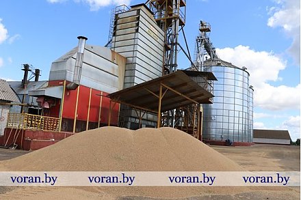 Наиболее весомый вклад в общерайонный каравай внесен работниками КСУП «Дотишки»