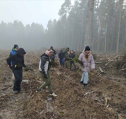 Навучэнцы Паляцкішскай школы далучыліся да рэспубліканскай добраахвотнай грамадскай  акцыі “Дай лесу новае жыццё!” 