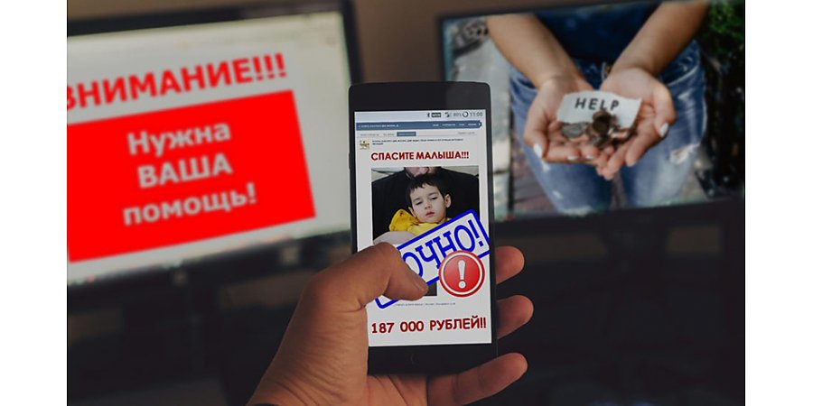 Помогать больным детям, а не мошенникам. Гродненские блогеры провернули аферу по собственному обогащению