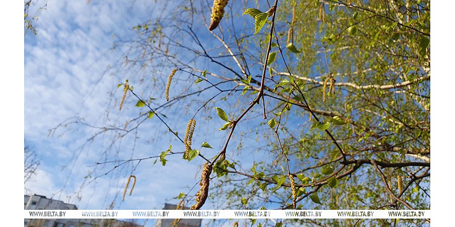 Станет ли теплее? Какой будет погода 16 апреля, рассказали синоптики