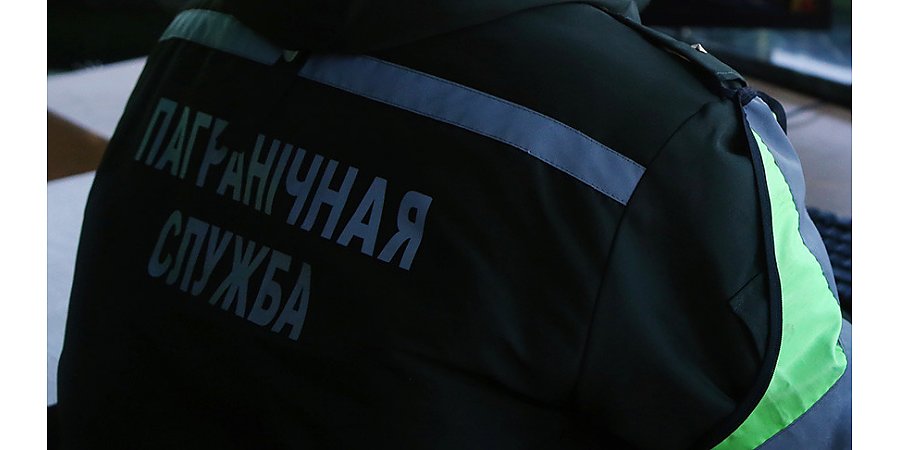 ГПК Беларуси: пинские пограничники перехватили украинский беспилотник
