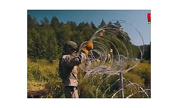 Почему страны Балтии и Польша решили заминировать свои границы