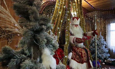Дед Мороз из Беловежской пущи налаживает общение через Skype