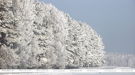 Гололедица и до -11°С: чего ждать от погоды в Беларуси 8 февраля
